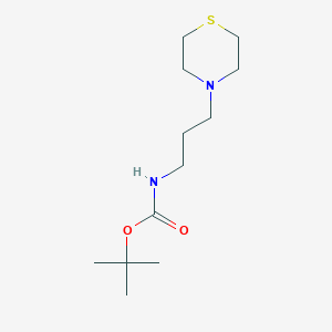molecular formula C12H24N2O2S B1291800 N-Boc-3-thiomorpholinopropylamine CAS No. 454701-66-7