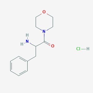 molecular formula C13H19ClN2O2 B1291954 2-Amino-1-(4-morpholinyl)-3-phenyl-1-propanone hydrochloride CAS No. 68319-34-6