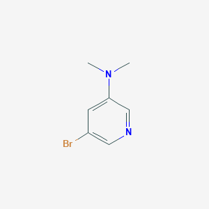 molecular formula C7H9BrN2 B1292488 5-溴-N,N-二甲基吡啶-3-胺 CAS No. 342602-87-3