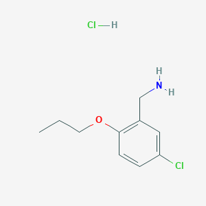 molecular formula C10H15Cl2NO B1292815 (5-Chloro-2-propoxyphenyl)methanamine hydrochloride CAS No. 1135288-57-1