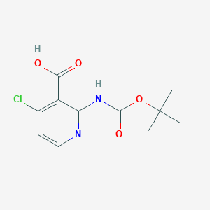 B1293439 2-(tert-Butoxycarbonylamino)-4-chloronicotinic acid CAS No. 1021339-32-1