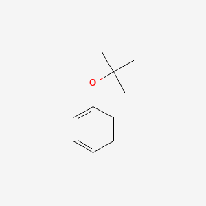 molecular formula C10H14O B1293632 叔丁氧基苯 CAS No. 6669-13-2