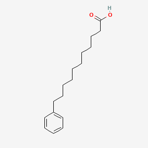molecular formula C17H26O2 B1293663 11-苯基十一酸 CAS No. 3343-24-6