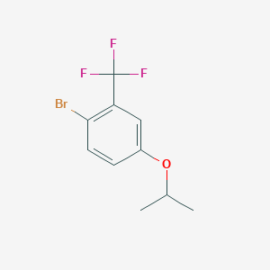 molecular formula C10H10BrF3O B1294256 1-Bromo-4-isopropoxy-2-(trifluoromethyl)benzene CAS No. 914635-70-4