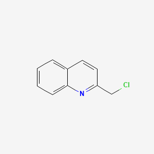 2-(Chloromethyl)quinoline