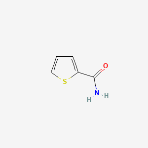 molecular formula C5H5NOS B1294673 2-Thiophenecarboxamide CAS No. 5813-89-8