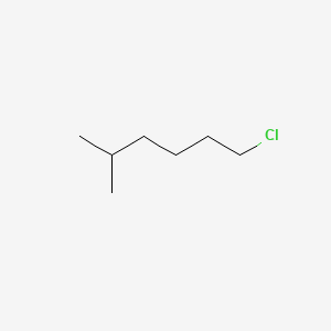 molecular formula C7H15Cl B1294878 1-Chloro-5-methylhexane CAS No. 33240-56-1