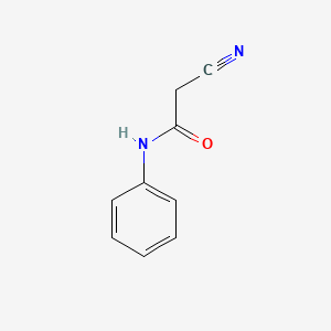 molecular formula C9H8N2O B1294936 2-Cyano-N-phenylacetamide CAS No. 621-03-4