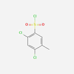 molecular formula C7H5Cl3O2S B1295223 2,4-二氯-5-甲基苯磺酰氯 CAS No. 28286-86-4