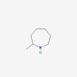 B1295868 2-Methylazepane CAS No. 7496-99-3