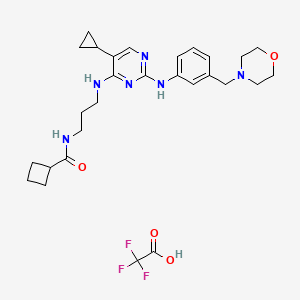 molecular formula C28H37F3N6O4 B12961186 N-[3-[[5-cyclopropyl-2-[3-(morpholin-4-ylmethyl)anilino]pyrimidin-4-yl]amino]propyl]cyclobutanecarboxamide;2,2,2-trifluoroacetic acid 