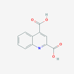 molecular formula C11H7NO4 B1296242 Quinoline-2,4-dicarboxylic acid CAS No. 5323-57-9