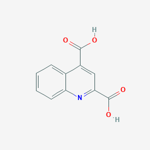 molecular formula C11H7NO4 B1296242 2,4-喹啉二甲酸 CAS No. 5323-57-9