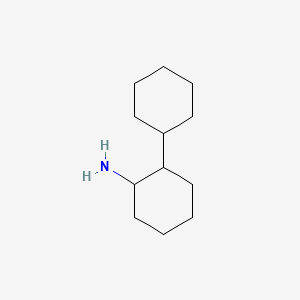 molecular formula C12H23N B1296254 2-Aminobicyclohexyl CAS No. 6283-14-3