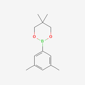 molecular formula C13H19BO2 B12964541 2-(3,5-Dimethylphenyl)-5,5-dimethyl-1,3,2-dioxaborinane 