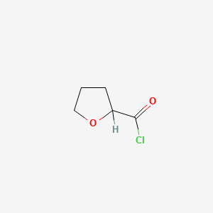 B1296549 Tetrahydrofuran-2-carbonyl chloride CAS No. 52449-98-6