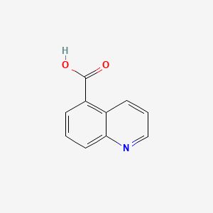 molecular formula C10H7NO2 B1296838 Quinoline-5-carboxylic acid CAS No. 7250-53-5