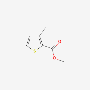 molecular formula C7H8O2S B1296924 Methyl 3-methylthiophene-2-carboxylate CAS No. 81452-54-2