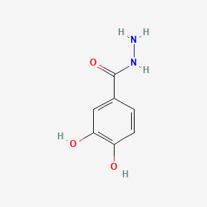 molecular formula C7H8N2O3 B1296978 3,4-二羟基苯甲酰肼 CAS No. 39635-11-5