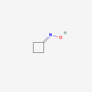 molecular formula C4H7NO B1297607 环丁酮肟 CAS No. 2972-05-6
