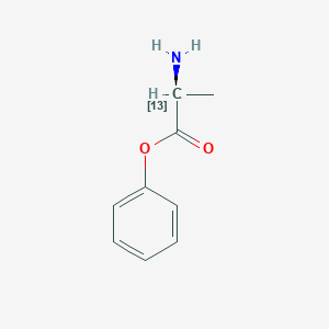 molecular formula C9H11NO2 B12977672 phenyl L-alaninate-2-13C 