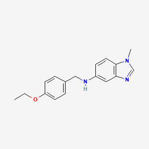 (4-Ethoxy-benzyl)-(1-methyl-1H-benzoimidazol-5-yl)-amine