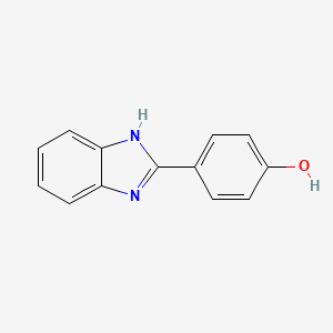 molecular formula C13H10N2O B1298088 4-(1H-benzimidazol-2-yl)phenol CAS No. 6504-13-8