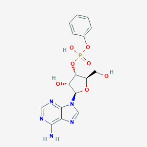 molecular formula C16H18N5O7P B129821 Adenosine 3'-phosphate phenyl ester CAS No. 144828-27-3