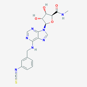 molecular formula C19H19N7O4S B129899 Ibamun CAS No. 157848-36-7