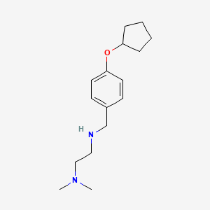 molecular formula C16H26N2O B1299450 N'-(4-Cyclopentyloxy-benzyl)-N,N-dimethyl-ethane-1,2-diamine CAS No. 866767-99-9