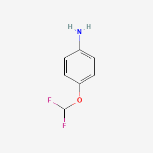molecular formula C7H7F2NO B1299965 4-(Difluoromethoxy)aniline CAS No. 22236-10-8