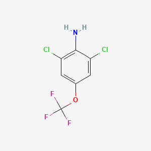molecular formula C7H4Cl2F3NO B1300132 2,6-Dichloro-4-(trifluoromethoxy)aniline CAS No. 99479-66-0