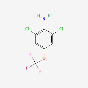 2,6-Dichloro-4-(trifluoromethoxy)aniline