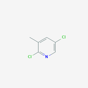 molecular formula C6H5Cl2N B1300166 2,5-Dichloro-3-methylpyridine CAS No. 59782-88-6