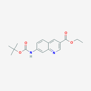 molecular formula C17H20N2O4 B13005853 Ethyl 7-((tert-butoxycarbonyl)amino)quinoline-3-carboxylate 