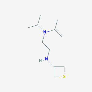 molecular formula C11H24N2S B13011841 N1,N1-Diisopropyl-N2-(thietan-3-yl)ethane-1,2-diamine 