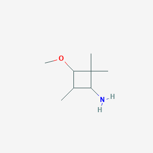 molecular formula C8H17NO B13017137 3-Methoxy-2,2,4-trimethylcyclobutan-1-amine 