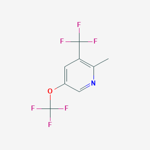 molecular formula C8H5F6NO B13017427 2-Methyl-5-(trifluoromethoxy)-3-(trifluoromethyl)pyridine 