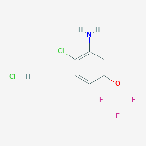 molecular formula C7H6Cl2F3NO B13018212 2-Chloro-5-(trifluoromethoxy)aniline hydrochloride 