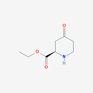 molecular formula C8H13NO3 B13019037 (R)-Ethyl 4-oxopiperidine-2-carboxylate CAS No. 357154-17-7