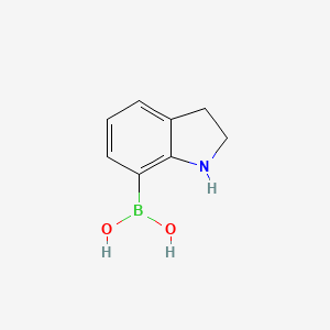 molecular formula C8H10BNO2 B13019708 Indolin-7-ylboronic acid 