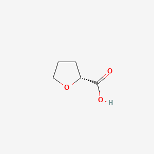 molecular formula C5H8O3 B1301991 Tetrahydro-2-furoic acid, (+)- CAS No. 87392-05-0