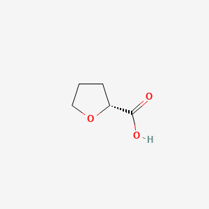 molecular formula C5H8O3 B1301991 (R)-(+)-2-Tetrahydrofuroic acid CAS No. 87392-05-0