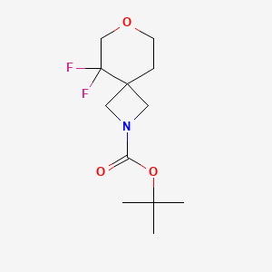 molecular formula C12H19F2NO3 B13020375 tert-Butyl 5,5-difluoro-7-oxa-2-azaspiro[3.5]nonane-2-carboxylate 