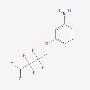 molecular formula C10H9F6NO B13020878 3-(2,2,3,3,4,4-Hexafluorobutoxy)aniline CAS No. 1427021-89-3