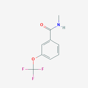 molecular formula C9H8F3NO2 B13021593 N-methyl-3-(trifluoromethoxy)benzamide 