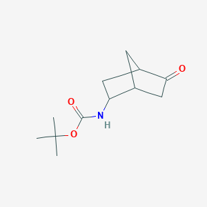 molecular formula C12H19NO3 B13022108 tert-butyl N-{5-oxobicyclo[2.2.1]heptan-2-yl}carbamate 