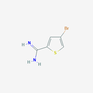 molecular formula C5H5BrN2S B13022204 4-Bromothiophene-2-carboximidamide 