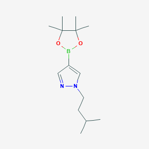 molecular formula C14H25BN2O2 B1302235 1-Isopentyl-4-(4,4,5,5-tetramethyl-1,3,2-dioxaborolan-2-yl)-1H-pyrazole CAS No. 777063-41-9