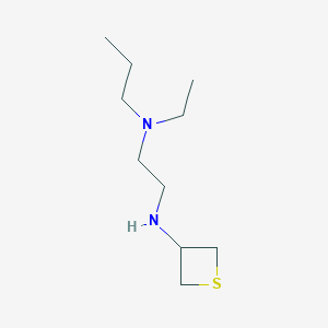 molecular formula C10H22N2S B13022686 N1-Ethyl-N1-propyl-N2-(thietan-3-yl)ethane-1,2-diamine 